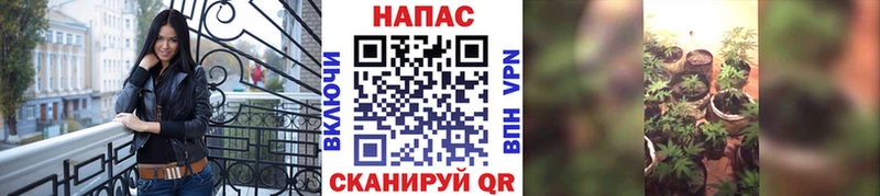 Виды наркотиков купить Темрюк ГАШ  Метадон  Мефедрон  Бошки Шишки  Псилоцибиновые грибы 