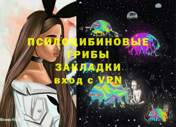 мет Алексин